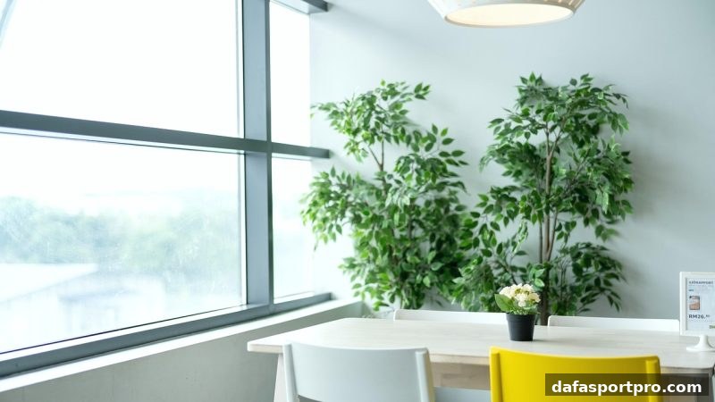 大发体育深度解析：历史数据如何成为你的策略利器