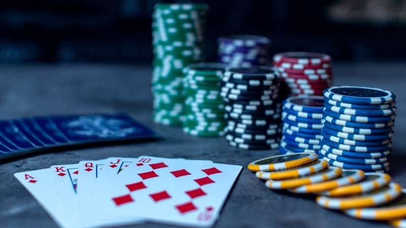 大发体育深度解析：飞禽走兽与推牌九的即时决策技巧