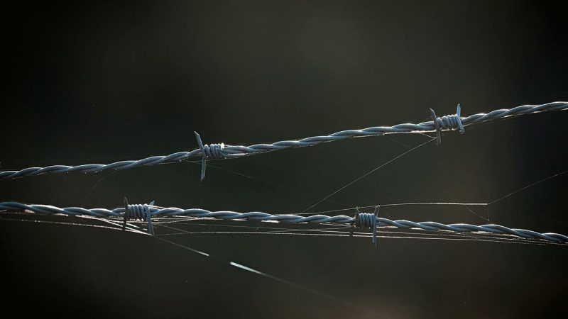 大发体育深度剖析：KA电子游戏本质、法律红线与出款审核风险全攻略